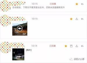 牛不啦最新爆料内容,娱乐圈最新爆料内容大起底